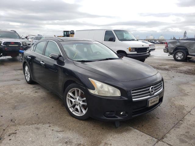 NISSAN MAXIMA S 2010 with VIN 1N4AA5AP1AC871196 - Photo from auction