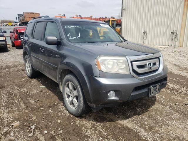HONDA PILOT EXL 2011 with VIN 5FNYF4H54BB034018 - Photo from auction