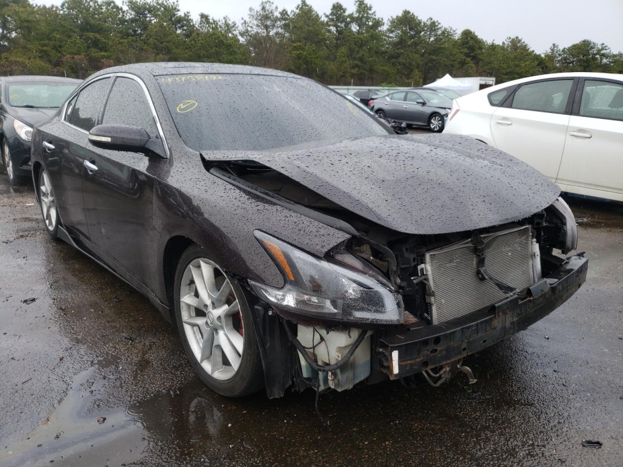 NISSAN MAXIMA S 2010 with VIN 1N4AA5APXAC875442 - Photo from auction