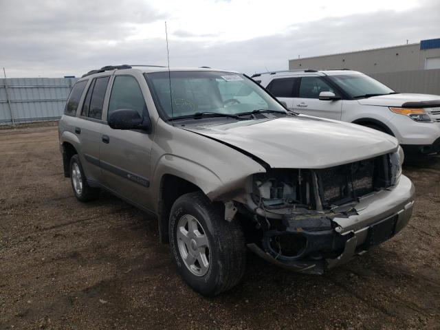 CHEVROLET TRAILBLAZE 2003 with VIN 1GNDT13S032293684 - Photo from auction