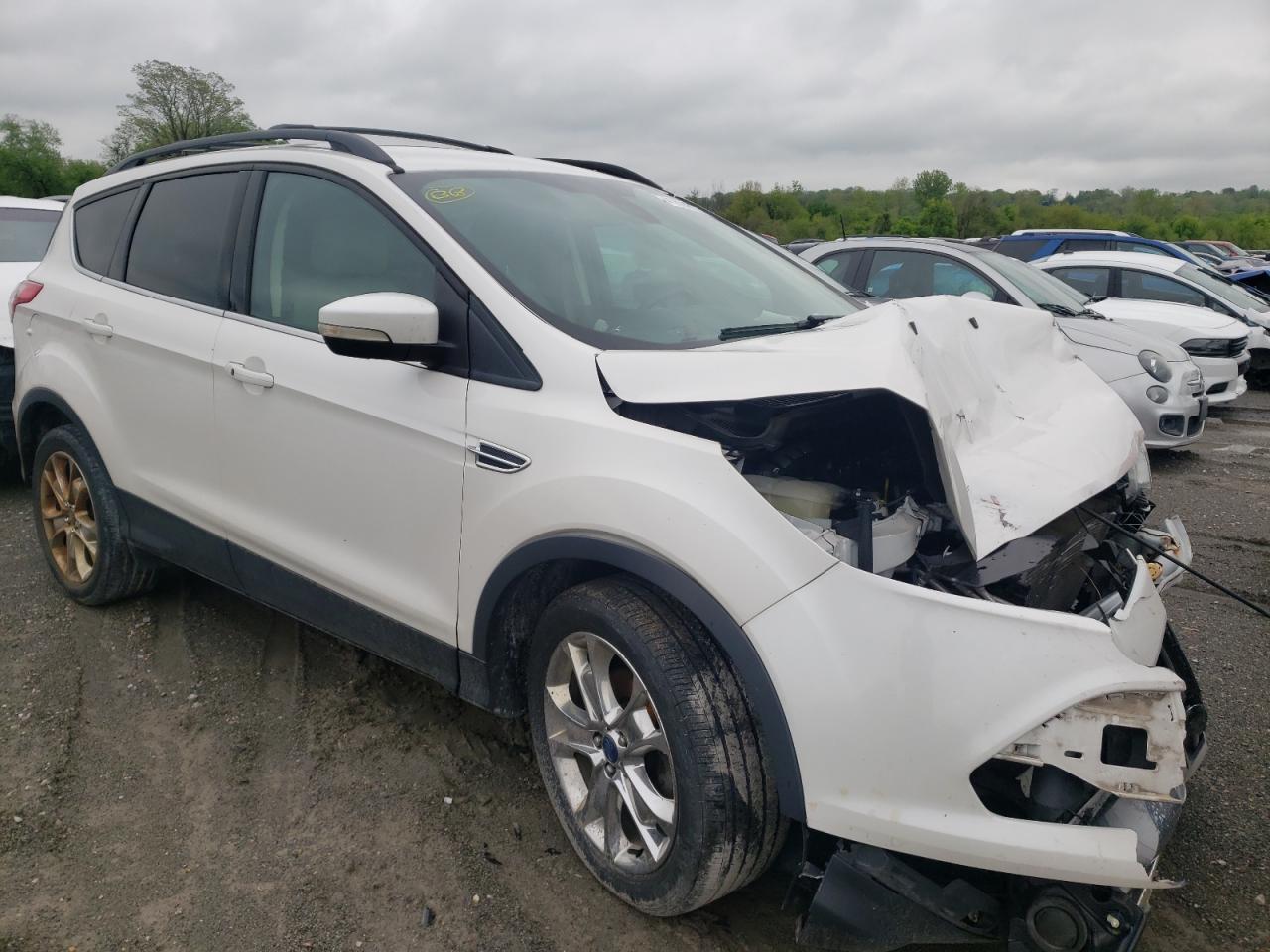 FORD ESCAPE SEL 2013 with VIN 1FMCU0HXXDUA93526 - Photo from auction