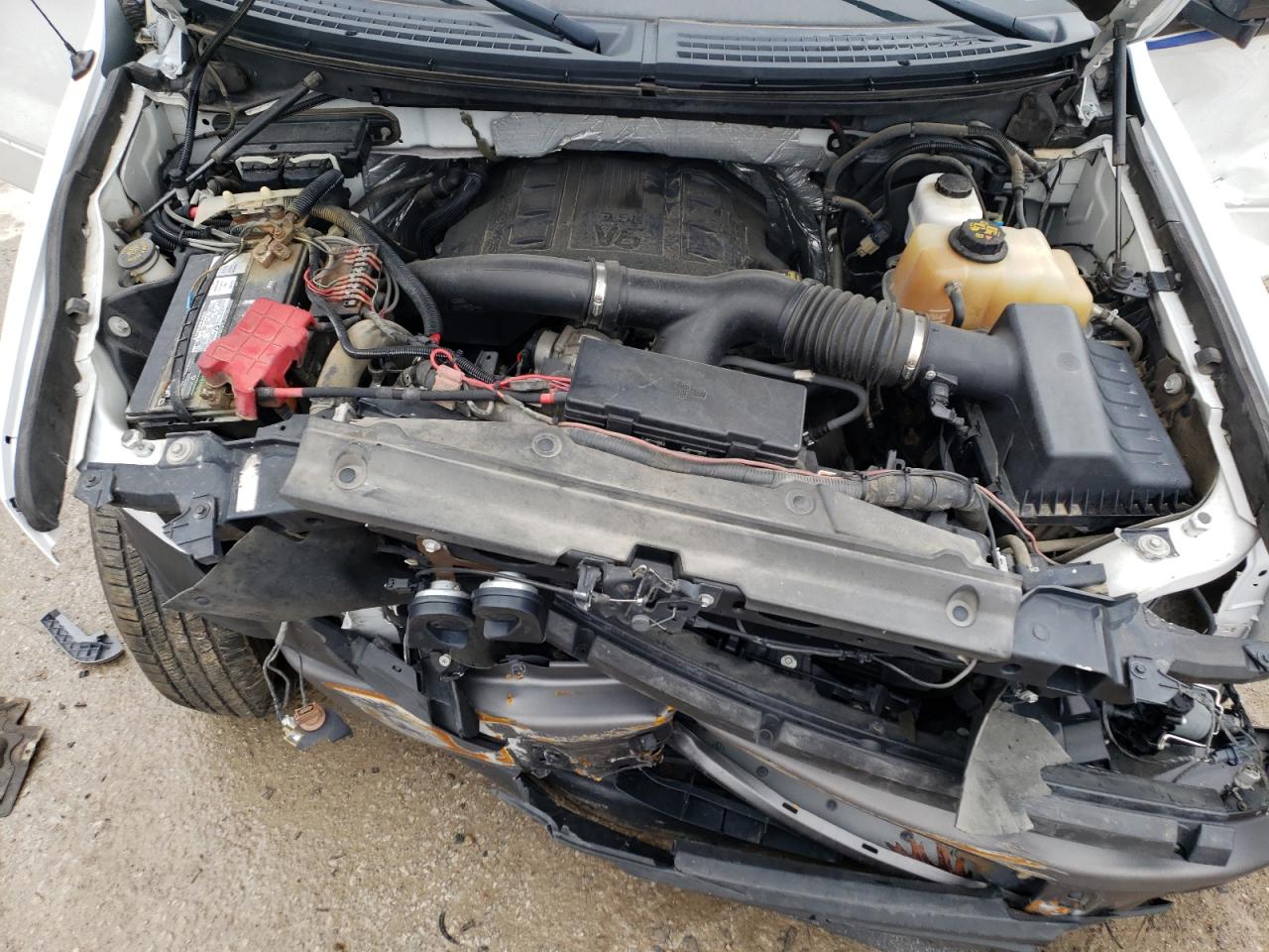 Photo 7 from auction – 2011 FORD F150 with VIN 1FTNF1ET5BKE10619
