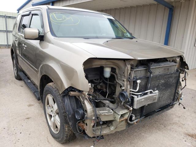 HONDA PILOT EX 2011 with VIN 5FNYF4H41BB019256 - Photo from auction