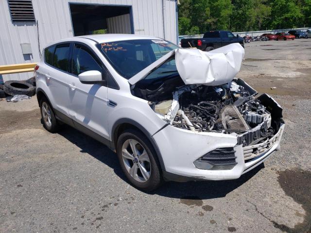 FORD ESCAPE SE 2014 with VIN 1FMCU0GX5EUC01649 - Photo from auction