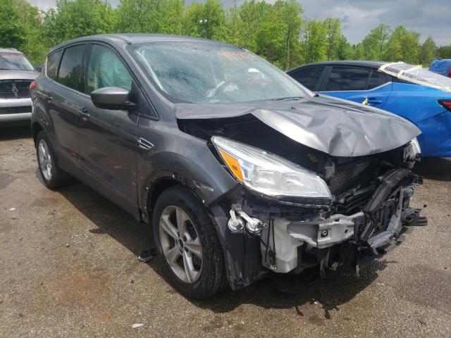 FORD ESCAPE SE 2014 with VIN 1FMCU0GX7EUC58290 - Photo from auction