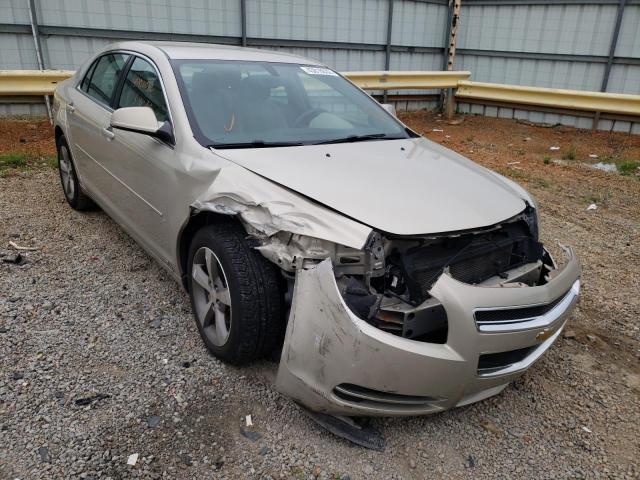 CHEVROLET MALIBU 2LT 2009 with VIN 1G1ZJ57B09F206365 - Photo from auction