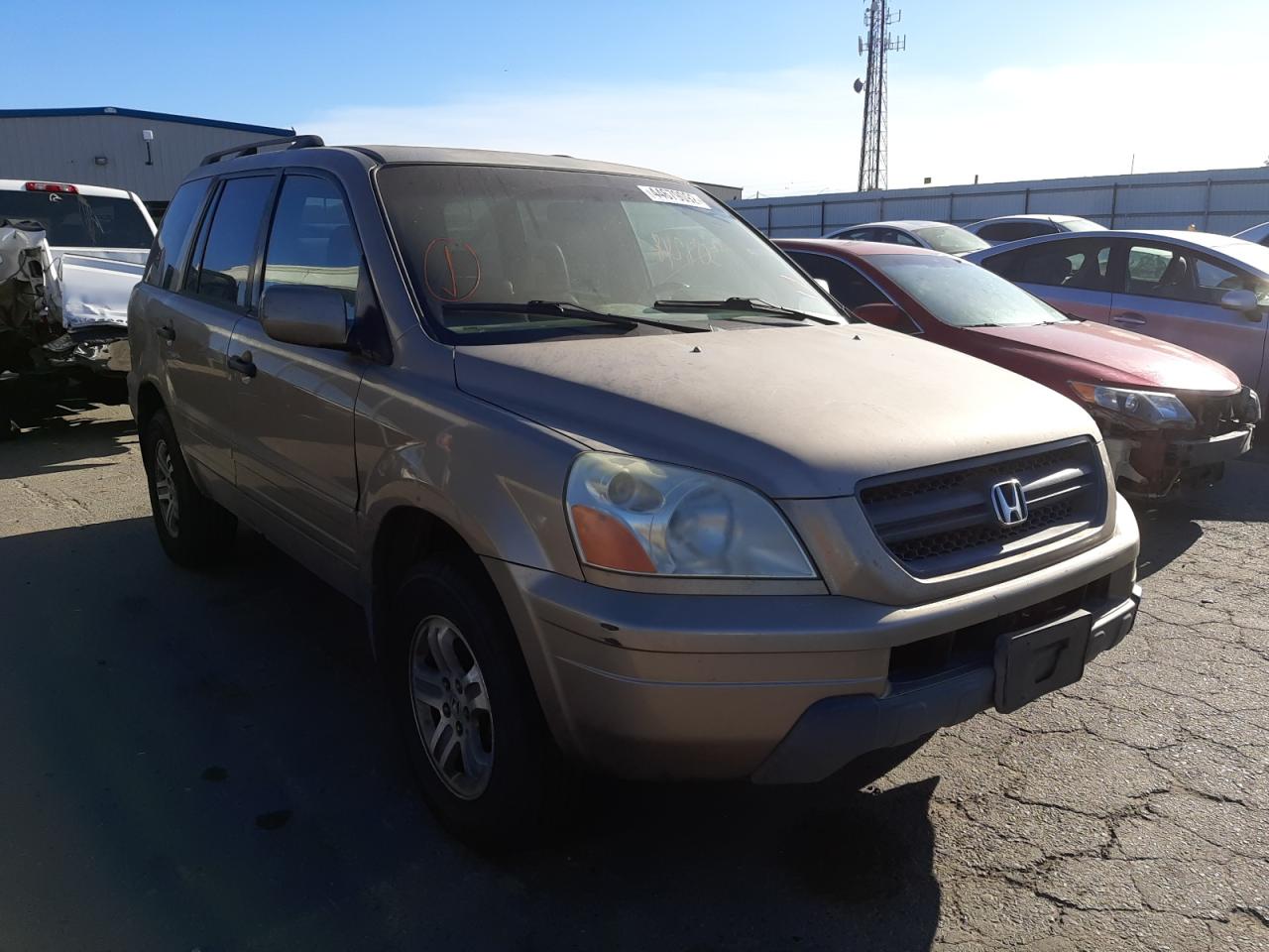 HONDA PILOT EXL 2003 with VIN 2HKYF18563H559809 - Photo from auction