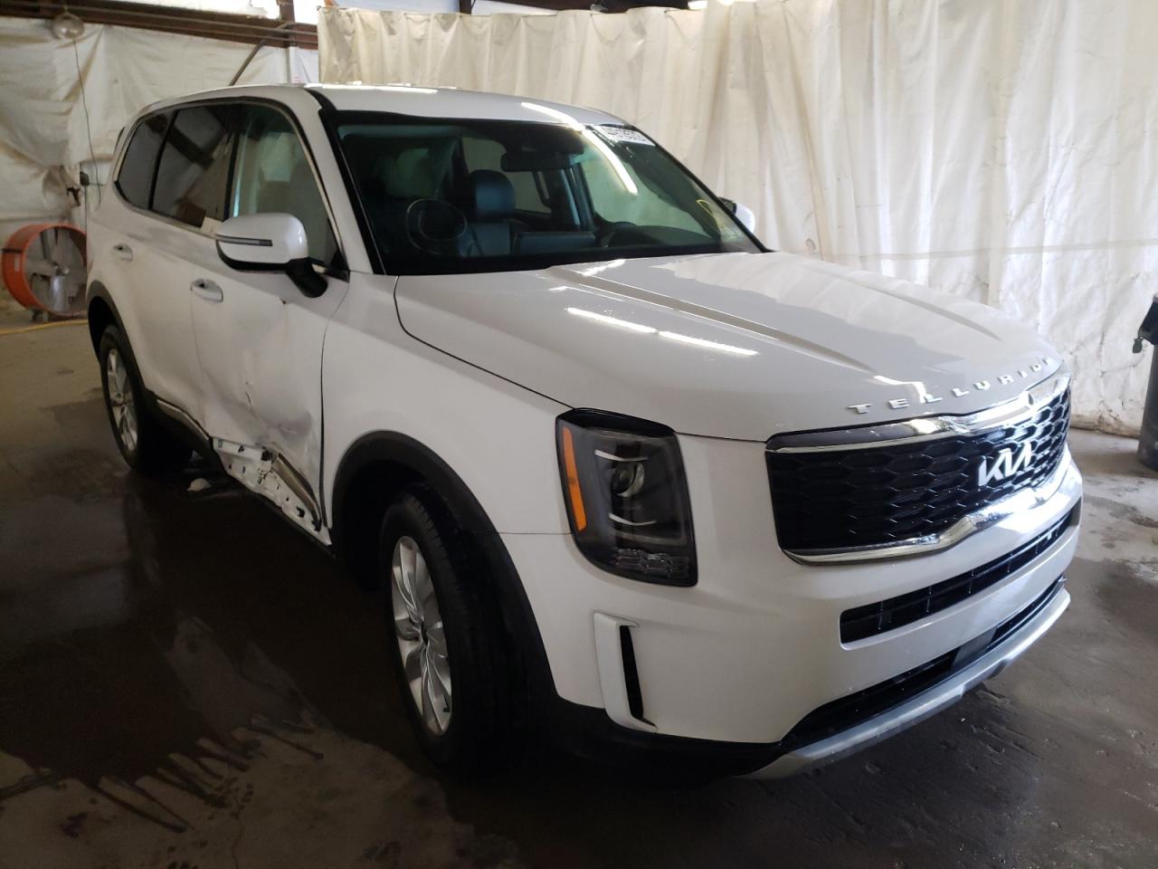 KIA TELLURIDE 2022 with VIN 5XYP2DHC3NG196497 - Photo from auction