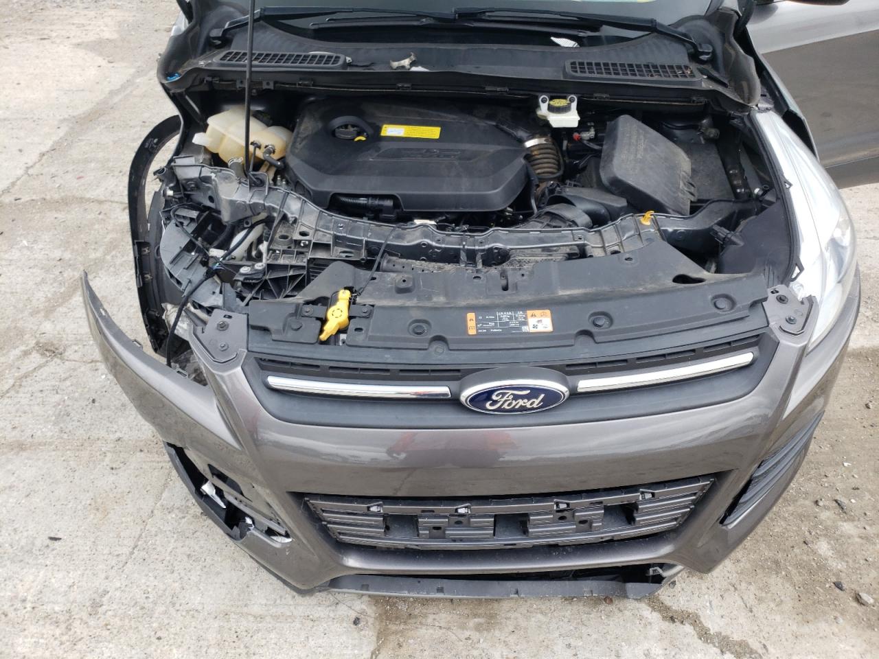 Photo 7 from auction – 2014 FORD ESCAPE SE with VIN 1FMCU0GX6EUD07429