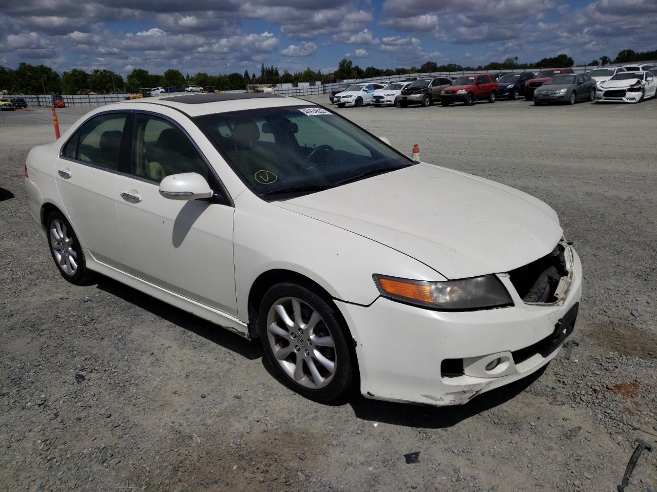 ACURA TSX 2008 with VIN JH4CL96898C013358 - Photo from auction