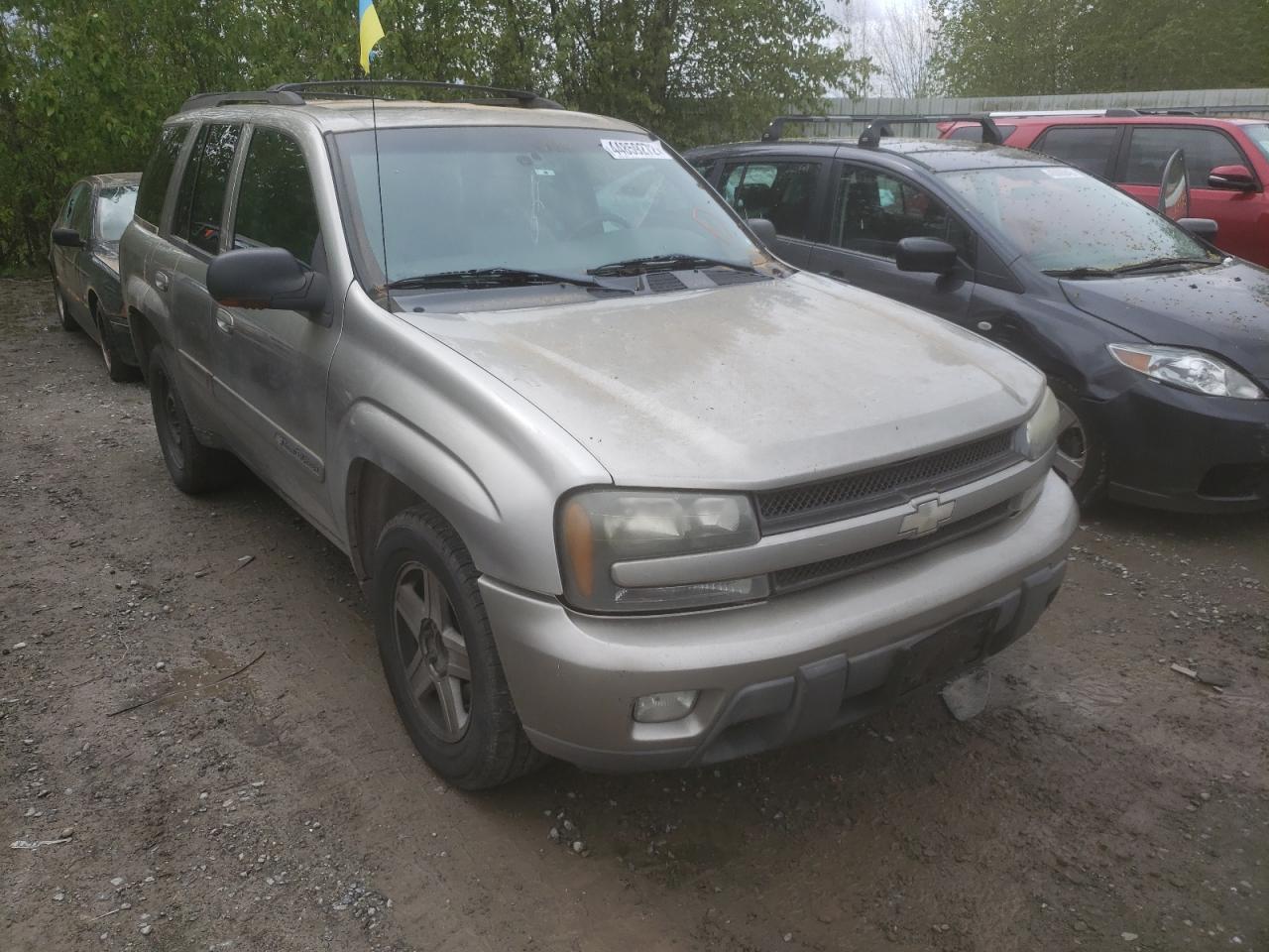 CHEVROLET TRAILBLAZE 2002 with VIN 1GNDS13S622156802 - Photo from auction