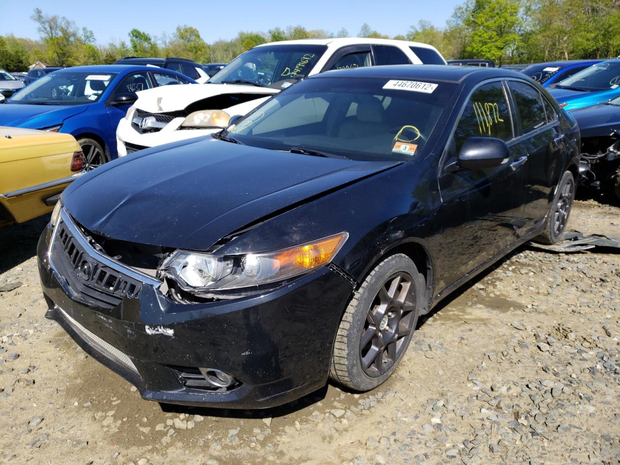 Photo 2 from auction – 2011 ACURA TSX with VIN JH4CU2F62BC000493