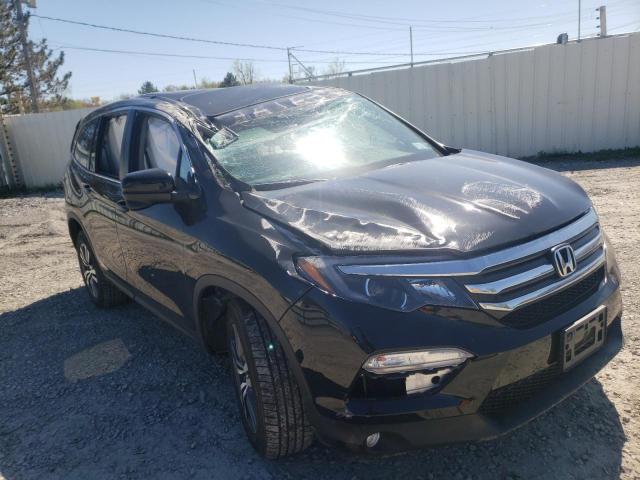 HONDA PILOT EXL 2018 with VIN 5FNYF6H57JB001654 - Photo from auction