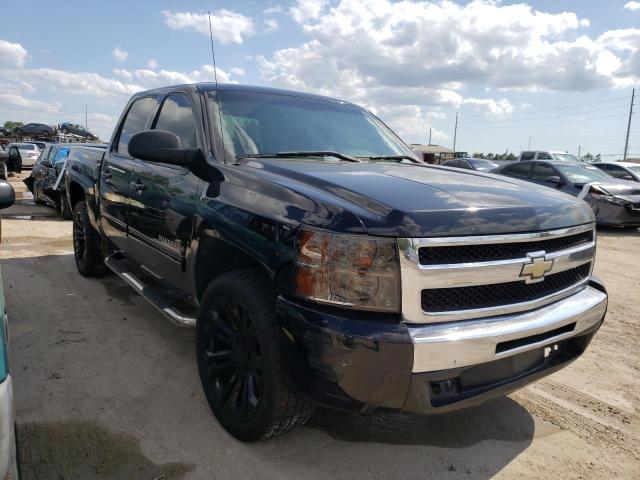 CHEVROLET SILVERADO 2010 with VIN 3GCRCSEA4AG186795 - Photo from auction
