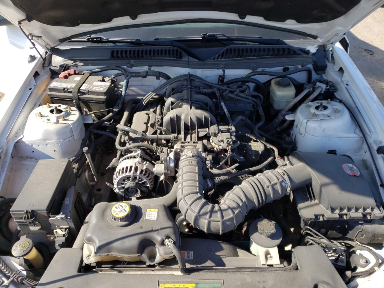 Photo 7 from auction – 2008 FORD MUSTANG with VIN 1ZVHT80NX85208113