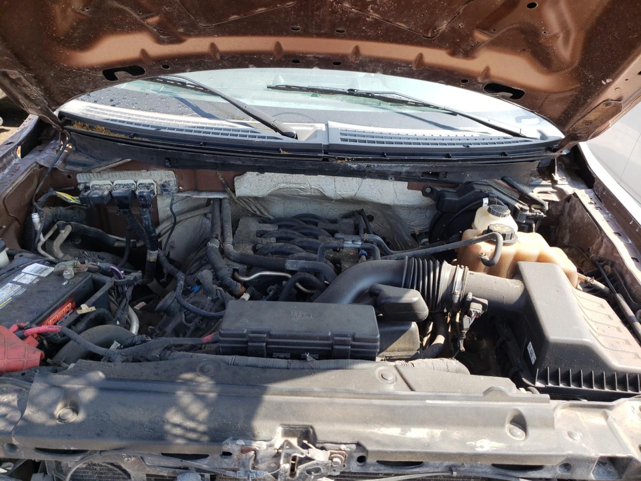 Photo 7 from auction – 2011 FORD F150 SUPER with VIN 1FTFW1EFXBFA73596