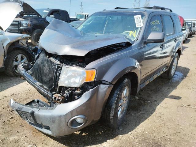 Photo 2 from auction – 2011 FORD ESCAPE XLT with VIN 1FMCU9D75BKA62459