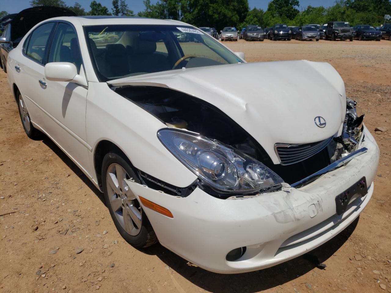 LEXUS ES 330 2005 with VIN JTHBA30G255122761 - Photo from auction