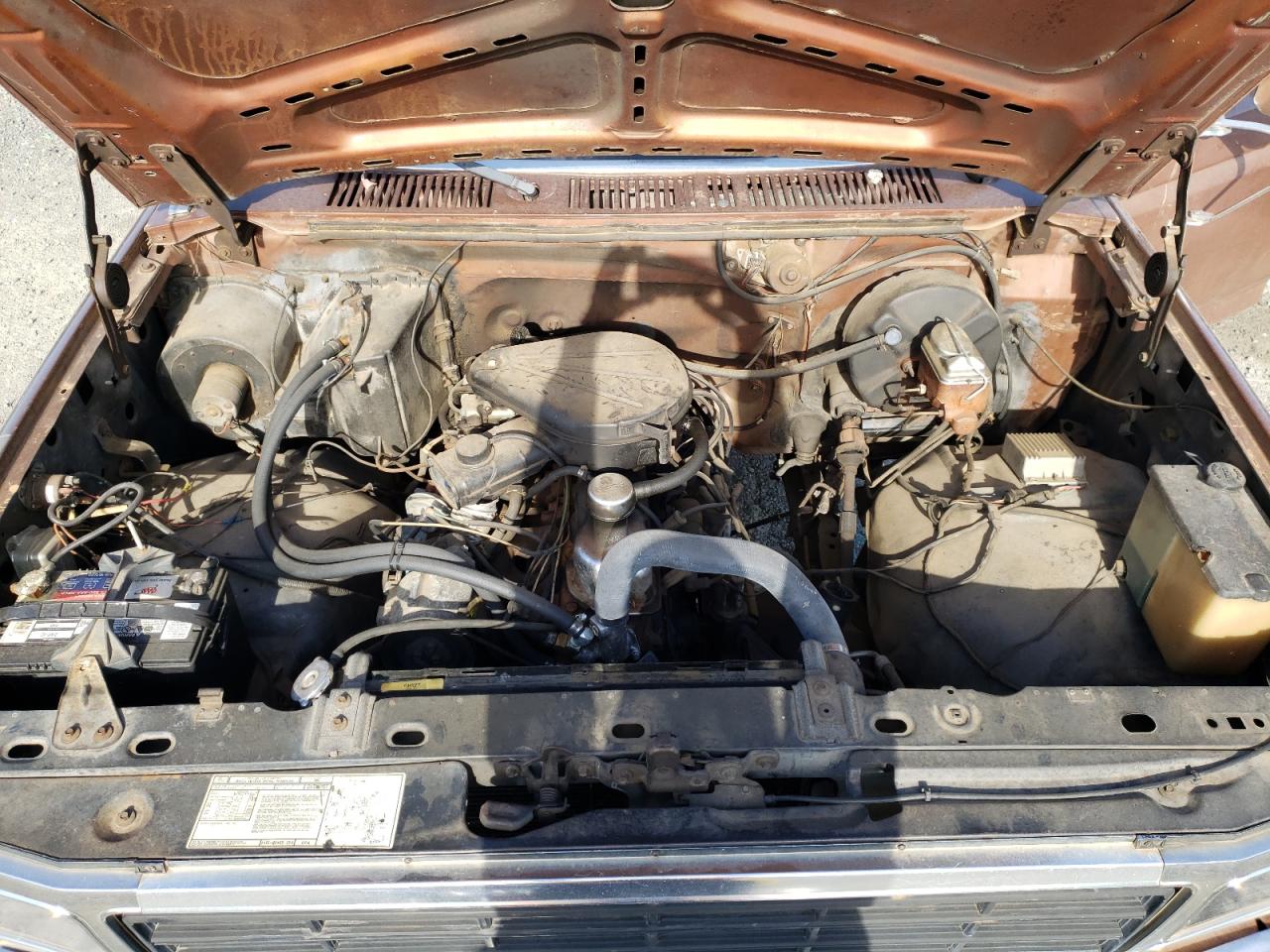 Photo 7 from auction – 1981 FORD F150 with VIN 1FTDF15E5BLA18747