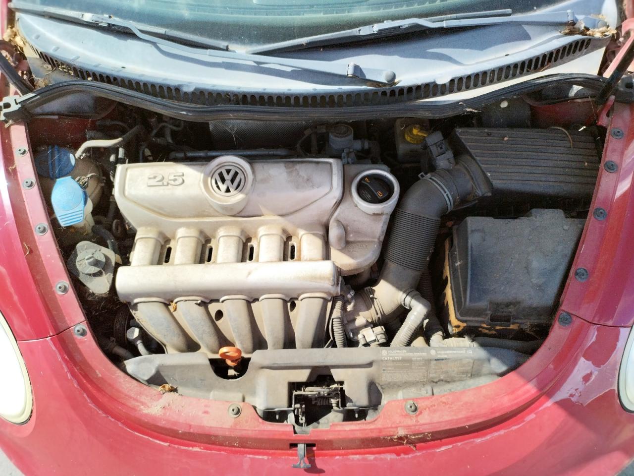 Photo 7 from auction – 2007 VOLKSWAGEN NEW BEETLE with VIN 3VWSG31C17M510554
