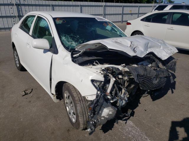 TOYOTA COROLLA BA 2010 with VIN 2T1BU4EE8AC195619 - Photo from auction