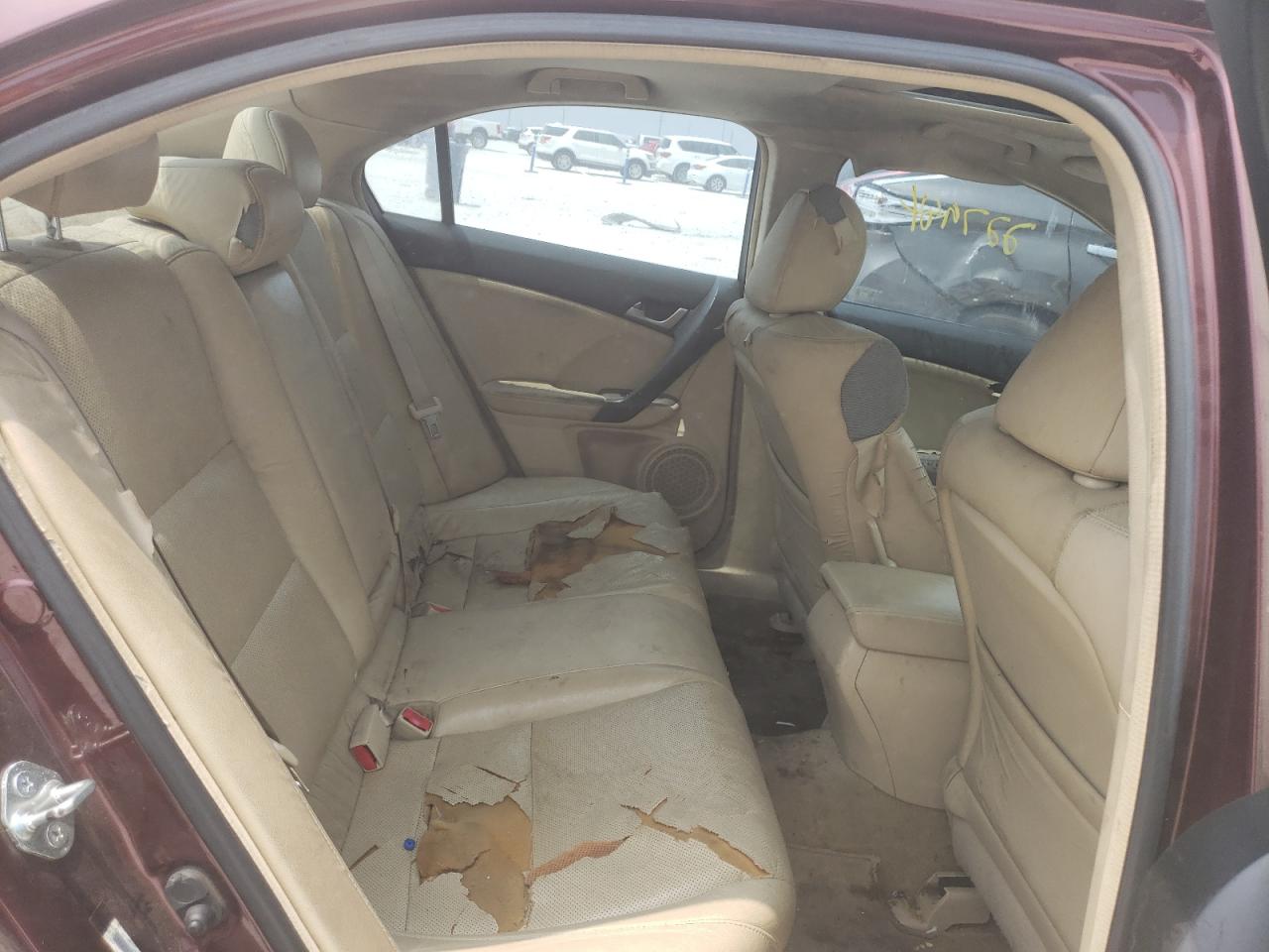 Photo 6 from auction – 2009 ACURA TSX with VIN JH4CU26669C020787