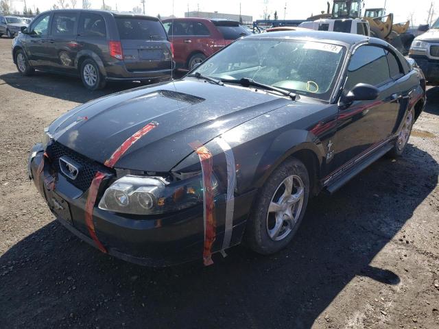 Photo 2 from auction – 2000 FORD MUSTANG with VIN 1FAFP404XYF143360