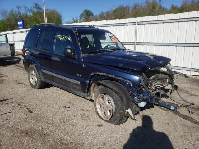 JEEP LIBERTY SP 2006 with VIN 1J4GL48K36W211650 - Photo from auction
