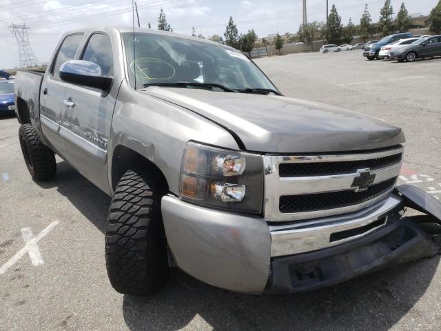 CHEVROLET SILVERADO 2009 with VIN 3GCEC23JX9G203368 - Photo from auction