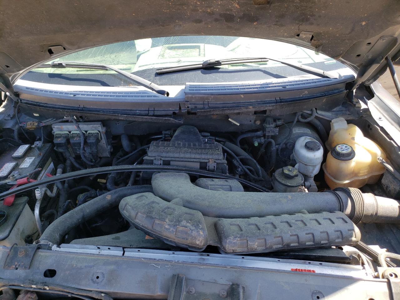 Photo 7 from auction – 2005 FORD F150 with VIN 1FTPX14595FB44897
