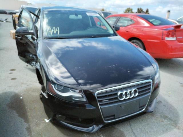 AUDI A4 PREMIUM 2011 with VIN WAUFFAFLXBN037561 - Photo from auction