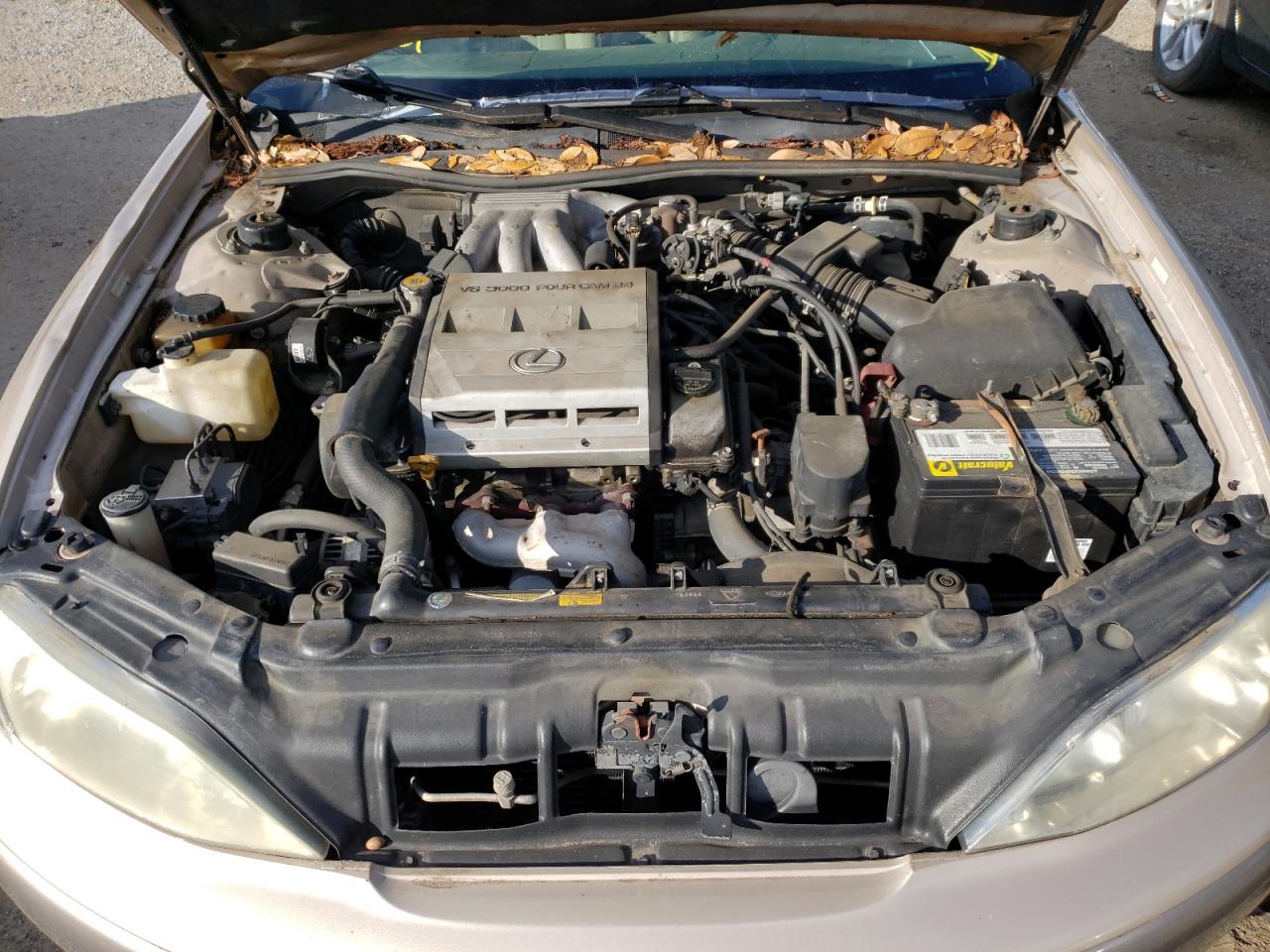 Photo 7 from auction – 1997 LEXUS ES 300 with VIN JT8BF22G4V5006793