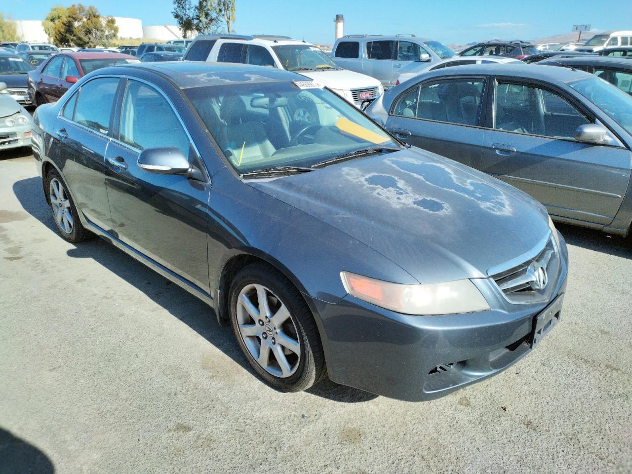 ACURA TSX 2004 with VIN JH4CL96904C026597 - Photo from auction