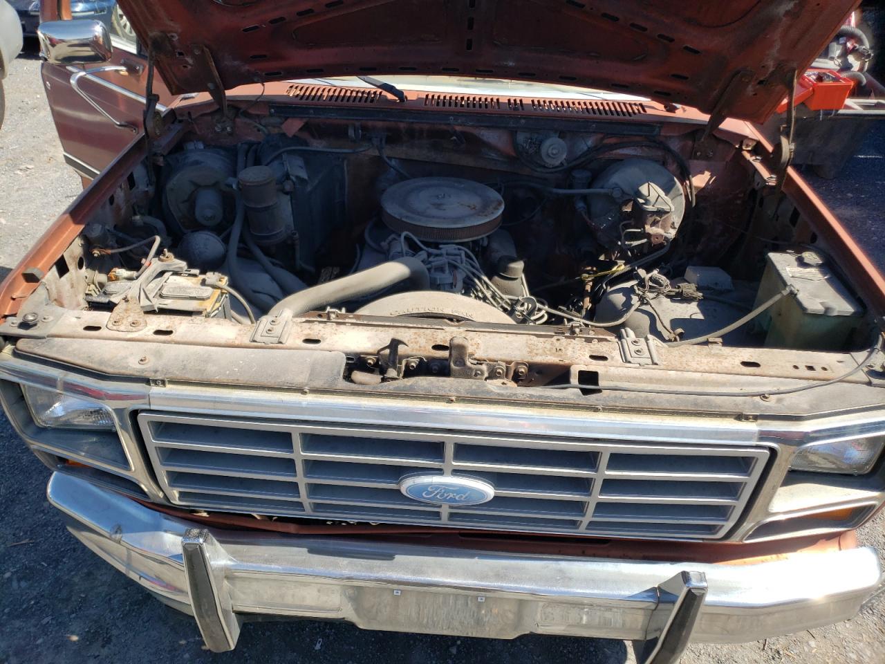 Photo 7 from auction – 1984 FORD F-150 with VIN 1FTEF15F3ENA35665