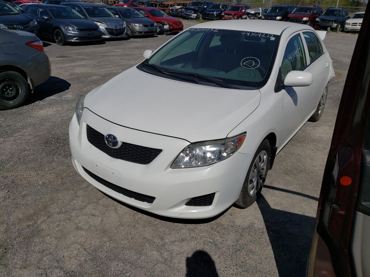 Photo 2 from auction – 2010 TOYOTA COROLLA BA with VIN 2T1BU4EE2AC440088