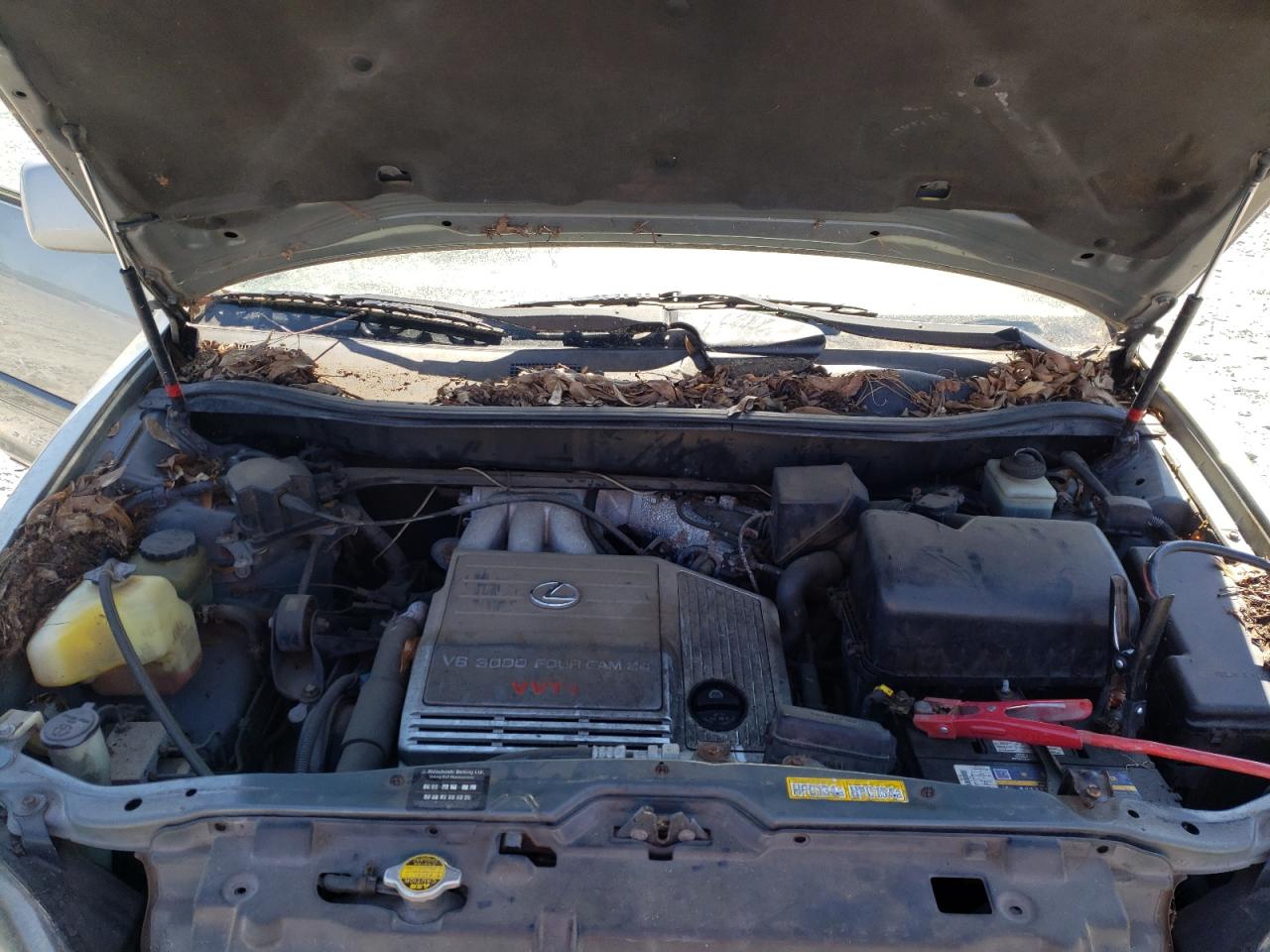 Photo 7 from auction – 2000 LEXUS RX 300 with VIN JT6HF10U1Y0142953