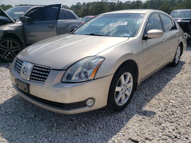 Photo 5 from auction – 2006 NISSAN MAXIMA SE with VIN 1N4BA41E86C862368
