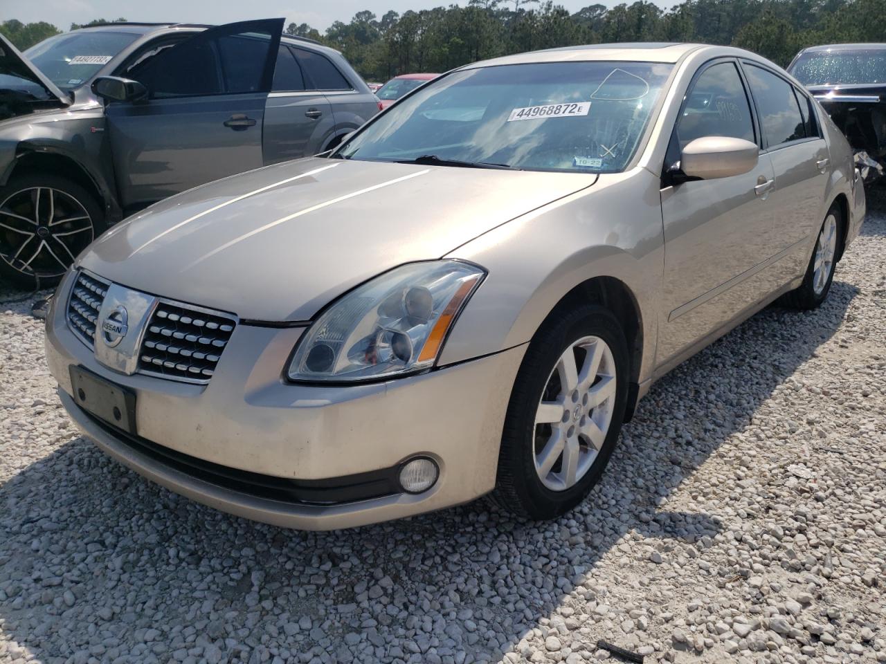 Photo 15 from auction – 2006 NISSAN MAXIMA SE with VIN 1N4BA41E86C862368