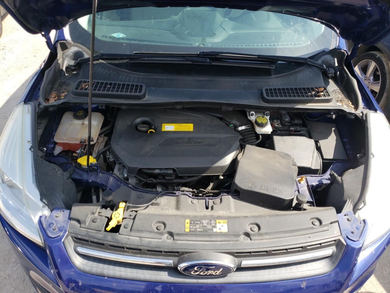 Photo 7 from auction – 2016 FORD ESCAPE SE with VIN 1FMCU0GX2GUA91887