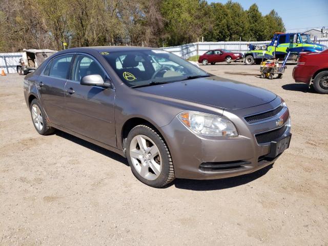 Photo 1 from auction – 2010 CHEVROLET MALIBU LS with VIN 1G1ZB5E08AF171013