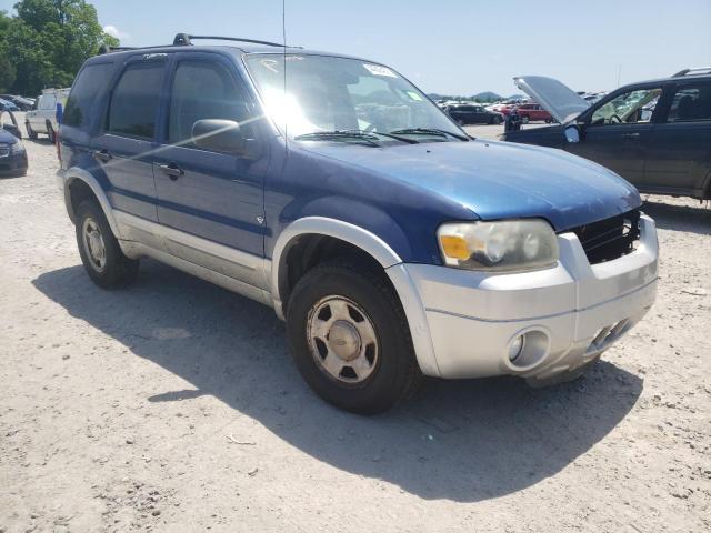 FORD ESCAPE XLT 2007 with VIN 1FMCU03197KB28737 - Photo from auction