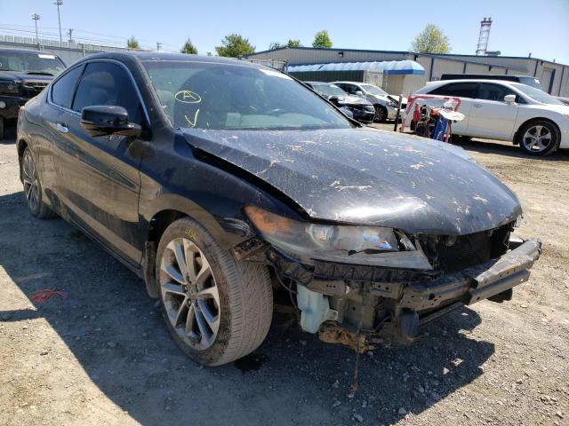 HONDA ACCORD EXL 2013 with VIN 1HGCT2B8XDA011317 - Photo from auction