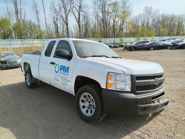CHEVROLET SILVERADO 2009 with VIN 2GCEC190291116033 - Photo from auction