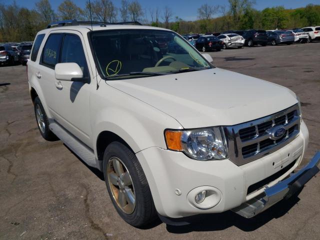 FORD ESCAPE 2011 with VIN 1FMCU9EG4BKB56833 - Photo from auction