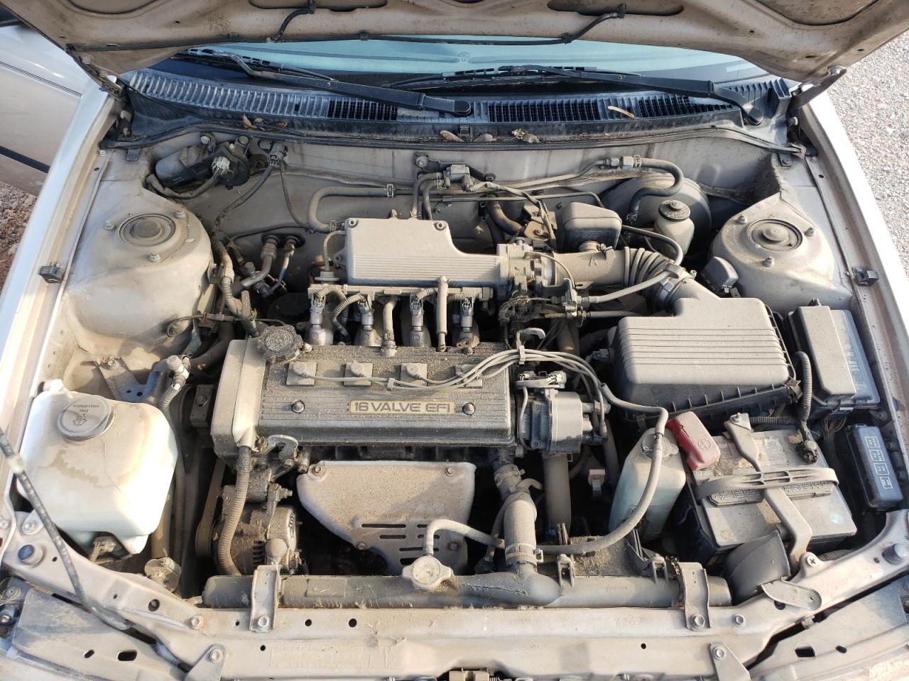 Photo 7 from auction – 1995 TOYOTA COROLLA with VIN 1NXAE04B5SZ346280