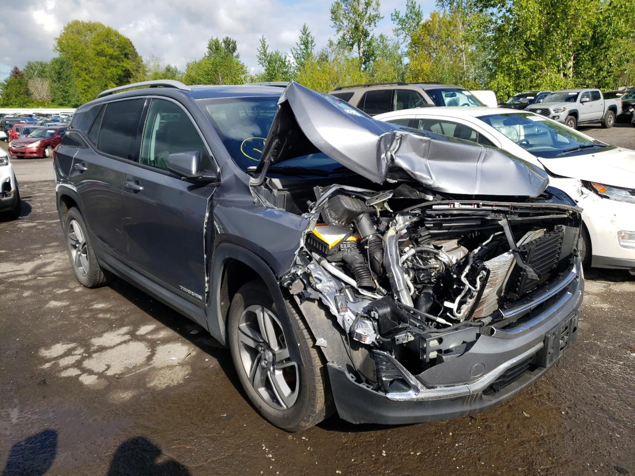 GMC TERRAIN SL 2021 with VIN 3GKALVEV7ML331992 - Photo from auction