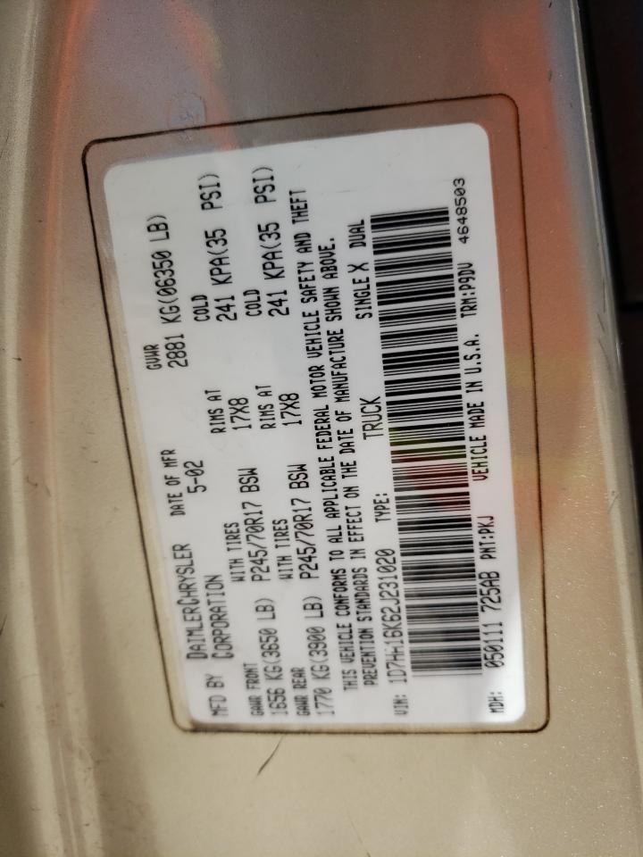 Photo 10 from auction – 2002 DODGE RAM 1500 with VIN 1D7HA16K62J231020