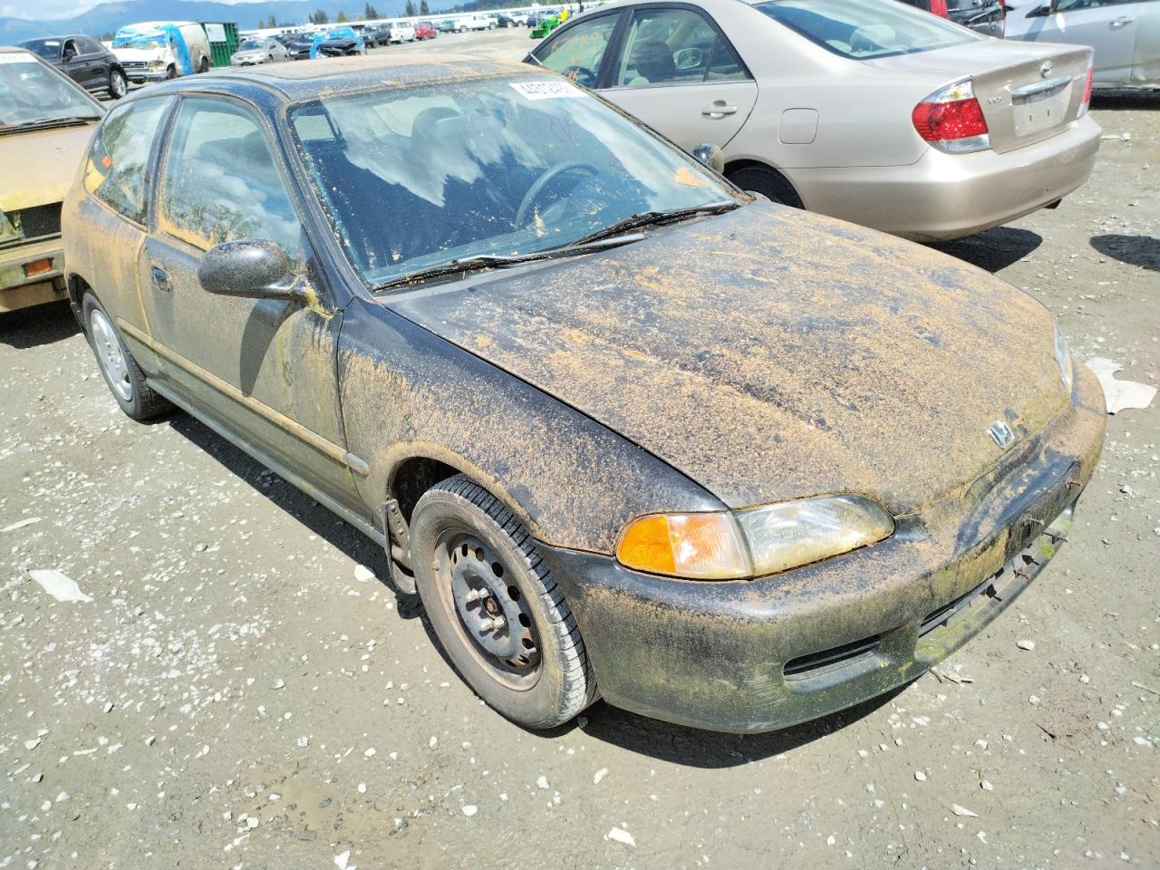 Photo 1 from auction – 1995 HONDA CIVIC SI with VIN 2HGEH3386SH500052
