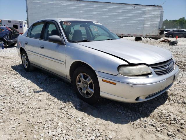 CHEVROLET MALIBU 2002 with VIN 1G1ND52J92M644419 - Photo from auction