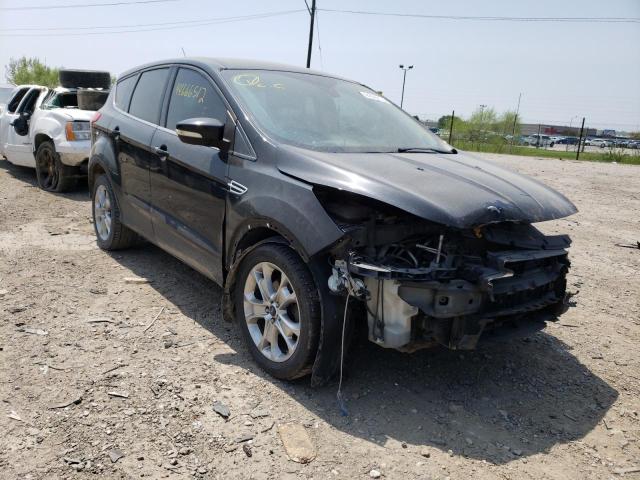FORD ESCAPE SEL 2013 with VIN 1FMCU0HX8DUC49319 - Photo from auction